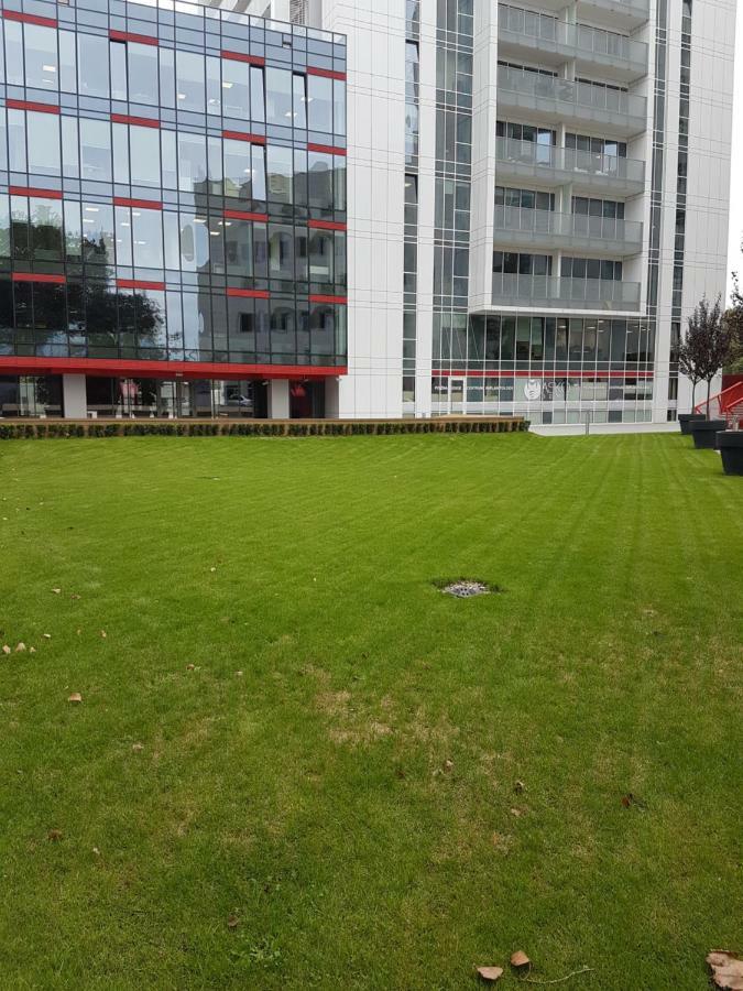 Apartament Towarowa 37 Posen Exterior foto